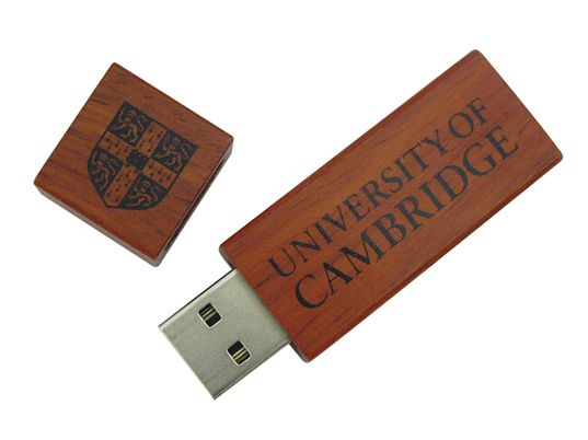 Classic and Natural Wood/wooden USB memory drive, Flash usb wooden customized for University U528