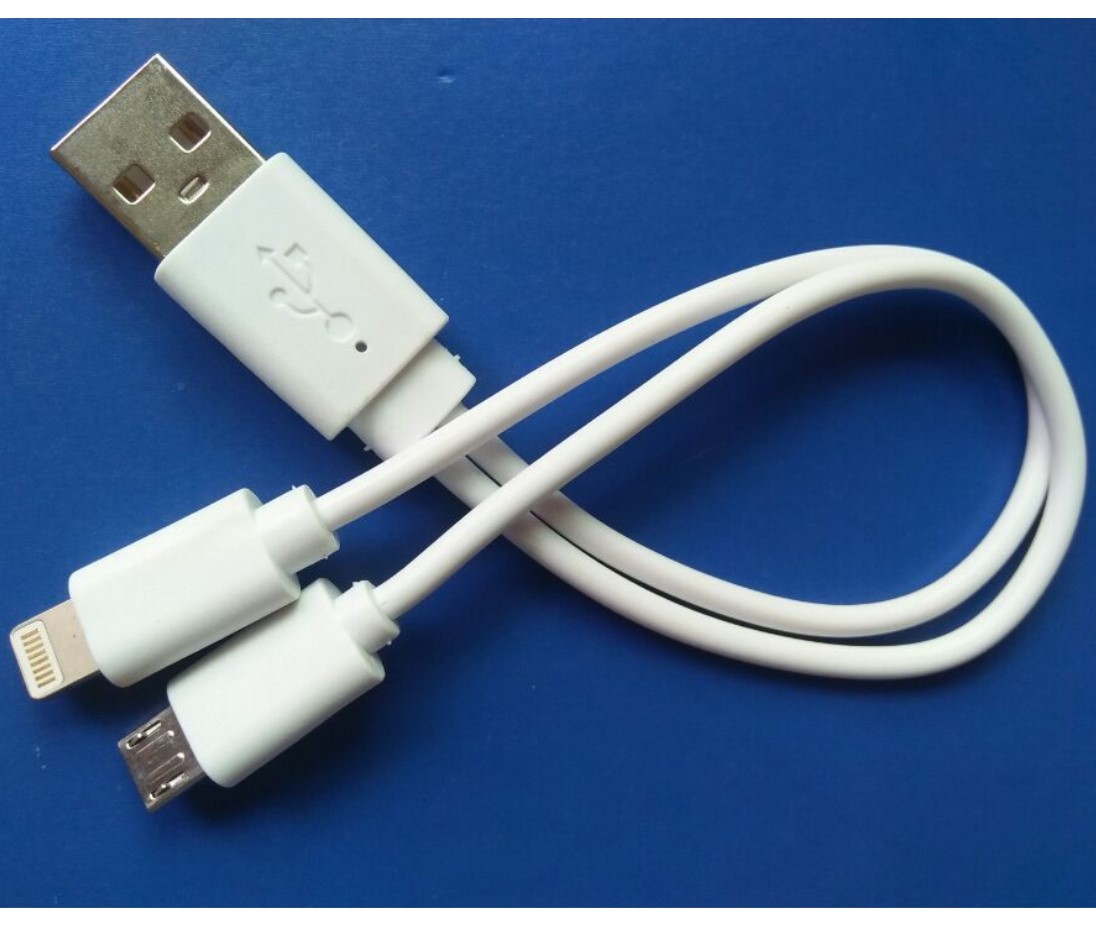 1A 2 in 1 Function USB Charging Cable with Lightning Android UC011